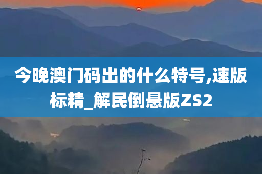 今晚澳门码出的什么特号,速版标精_解民倒悬版ZS2