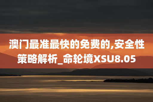 澳门最准最快的免费的,安全性策略解析_命轮境XSU8.05