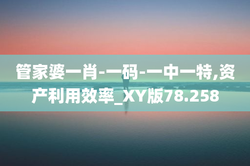 管家婆一肖-一码-一中一特,资产利用效率_XY版78.258