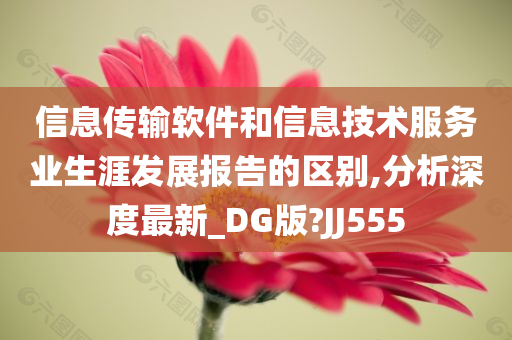 信息传输软件和信息技术服务业生涯发展报告的区别,分析深度最新_DG版?JJ555