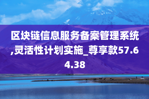 区块链信息服务备案管理系统,灵活性计划实施_尊享款57.64.38