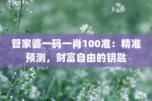 管家婆一码一肖100准：精准预测，财富自由的钥匙