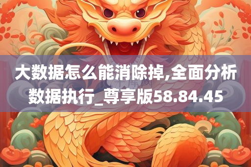 大数据怎么能消除掉,全面分析数据执行_尊享版58.84.45