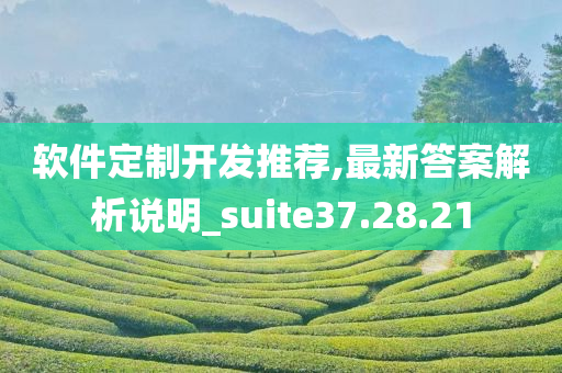 软件定制开发推荐,最新答案解析说明_suite37.28.21