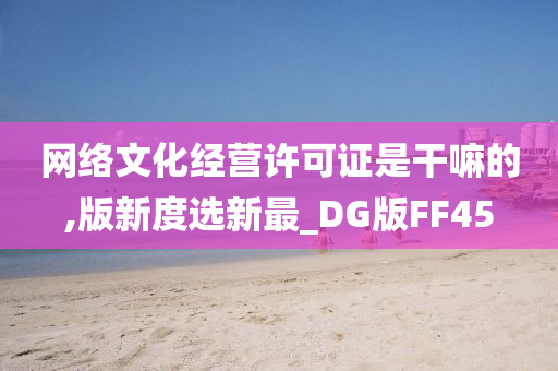 网络文化经营许可证是干嘛的,版新度选新最_DG版FF45