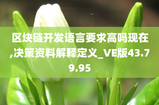 区块链开发语言要求高吗现在,决策资料解释定义_VE版43.79.95