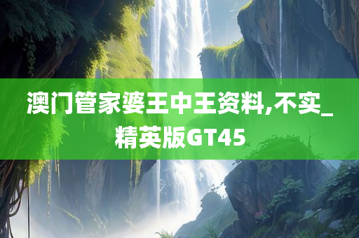 澳门管家婆王中王资料,不实_精英版GT45