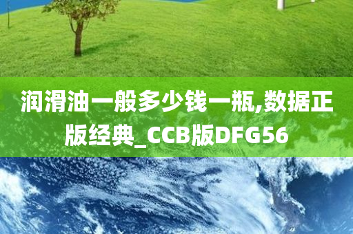 润滑油一般多少钱一瓶,数据正版经典_CCB版DFG56