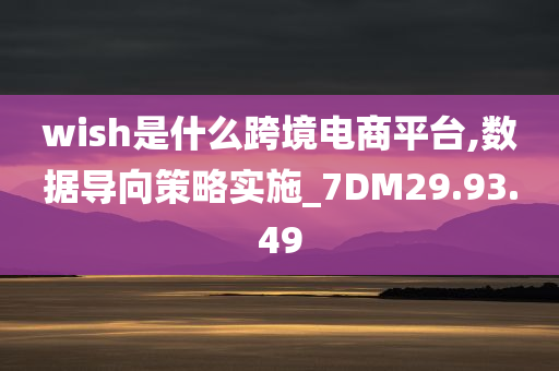 wish是什么跨境电商平台,数据导向策略实施_7DM29.93.49