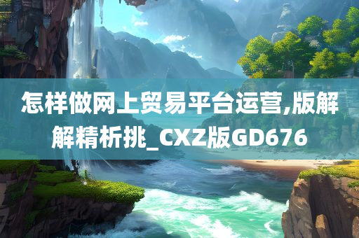 怎样做网上贸易平台运营,版解解精析挑_CXZ版GD676