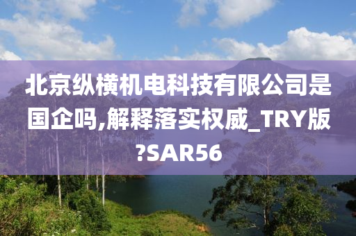 北京纵横机电科技有限公司是国企吗,解释落实权威_TRY版?SAR56