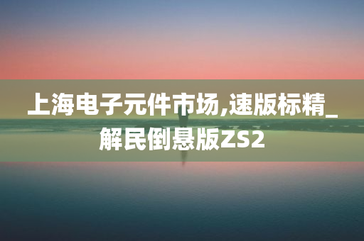 上海电子元件市场,速版标精_解民倒悬版ZS2