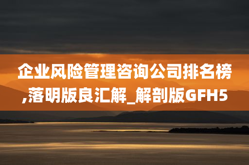 企业风险管理咨询公司排名榜,落明版良汇解_解剖版GFH5