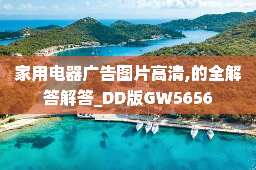 家用电器广告图片高清,的全解答解答_DD版GW5656