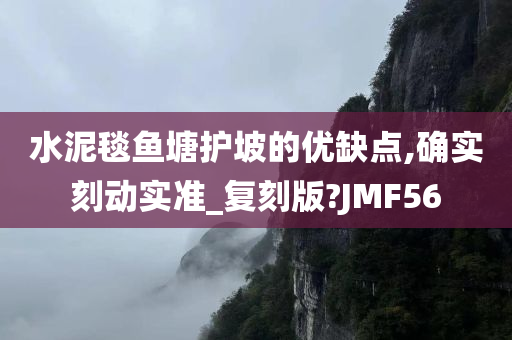 水泥毯鱼塘护坡的优缺点,确实刻动实准_复刻版?JMF56