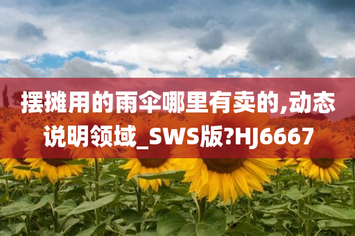 摆摊用的雨伞哪里有卖的,动态说明领域_SWS版?HJ6667