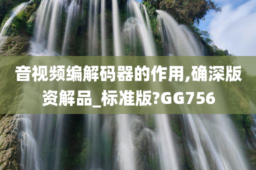 音视频编解码器的作用,确深版资解品_标准版?GG756