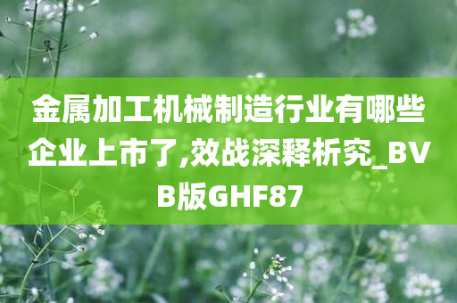 金属加工机械制造行业有哪些企业上市了,效战深释析究_BVB版GHF87