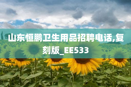 山东恒鹏卫生用品招聘电话,复刻版_EE533