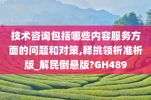 技术咨询包括哪些内容服务方面的问题和对策,释挑领析准析版_解民倒悬版?GH489