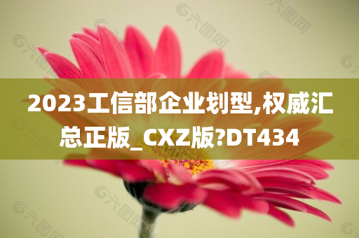 2023工信部企业划型,权威汇总正版_CXZ版?DT434