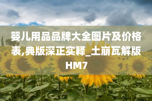 婴儿用品品牌大全图片及价格表,典版深正实释_土崩瓦解版HM7