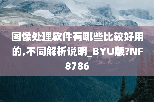 图像处理软件有哪些比较好用的,不同解析说明_BYU版?NF8786