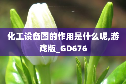 化工设备图的作用是什么呢,游戏版_GD676