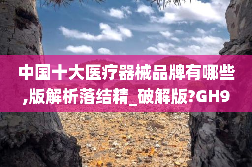 中国十大医疗器械品牌有哪些,版解析落结精_破解版?GH9