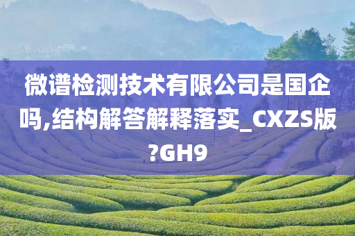 微谱检测技术有限公司是国企吗,结构解答解释落实_CXZS版?GH9