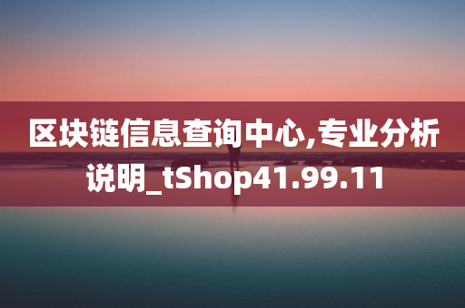 区块链信息查询中心,专业分析说明_tShop41.99.11