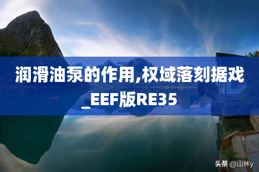 润滑油泵的作用,权域落刻据戏_EEF版RE35