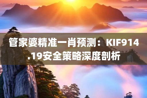 管家婆精准一肖预测：KIF914.19安全策略深度剖析