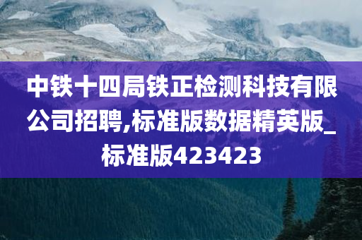 中铁十四局铁正检测科技有限公司招聘,标准版数据精英版_标准版423423