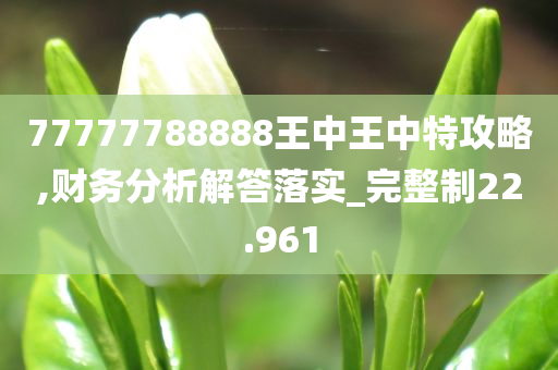 77777788888王中王中特攻略,财务分析解答落实_完整制22.961