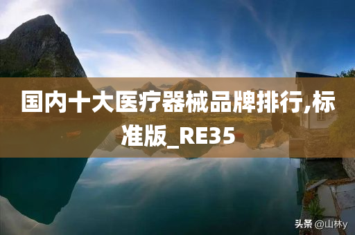 国内十大医疗器械品牌排行,标准版_RE35