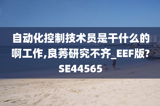 自动化控制技术员是干什么的啊工作,良莠研究不齐_EEF版?SE44565