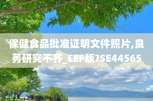 保健食品批准证明文件照片,良莠研究不齐_EEF版?SE44565