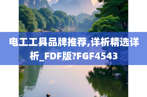 电工工具品牌推荐,详析精选详析_FDF版?FGF4543