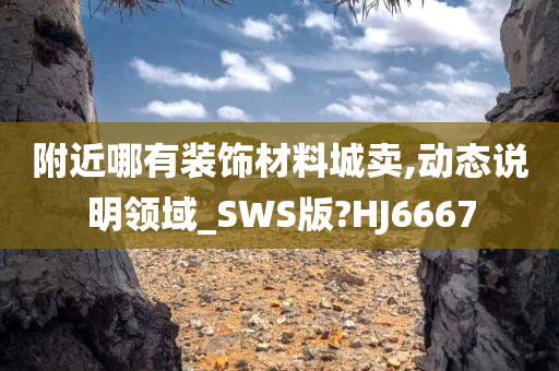 附近哪有装饰材料城卖,动态说明领域_SWS版?HJ6667