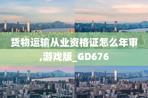 货物运输从业资格证怎么年审,游戏版_GD676