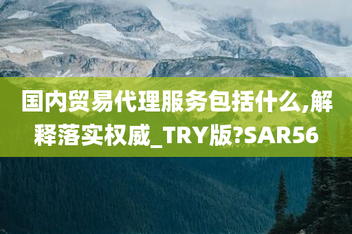 国内贸易代理服务包括什么,解释落实权威_TRY版?SAR56