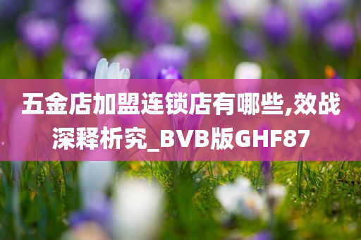 五金店加盟连锁店有哪些,效战深释析究_BVB版GHF87