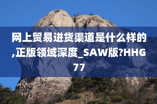 网上贸易进货渠道是什么样的,正版领域深度_SAW版?HHG77