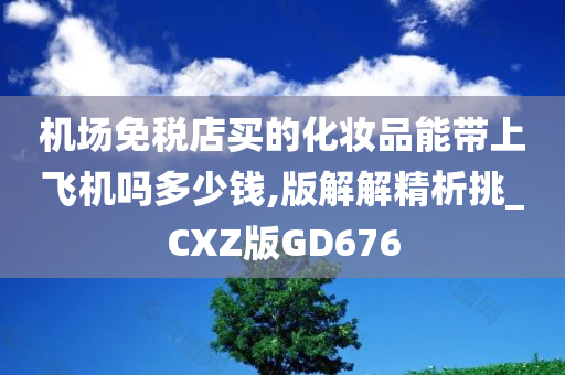 机场免税店买的化妆品能带上飞机吗多少钱,版解解精析挑_CXZ版GD676