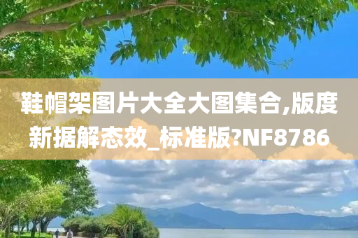 鞋帽架图片大全大图集合,版度新据解态效_标准版?NF8786