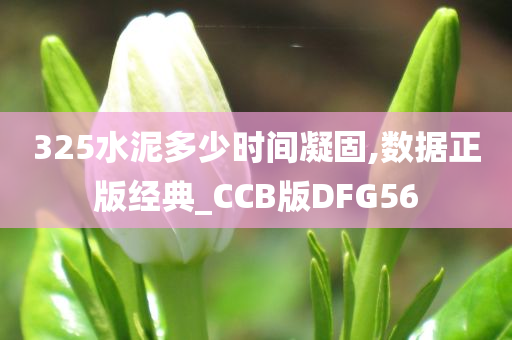 325水泥多少时间凝固,数据正版经典_CCB版DFG56