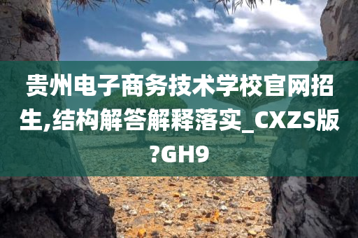 贵州电子商务技术学校官网招生,结构解答解释落实_CXZS版?GH9