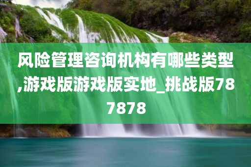 风险管理咨询机构有哪些类型,游戏版游戏版实地_挑战版787878