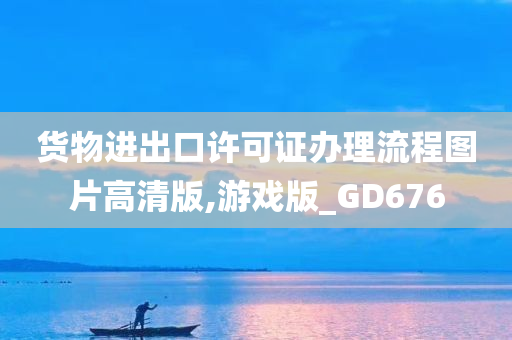 货物进出口许可证办理流程图片高清版,游戏版_GD676